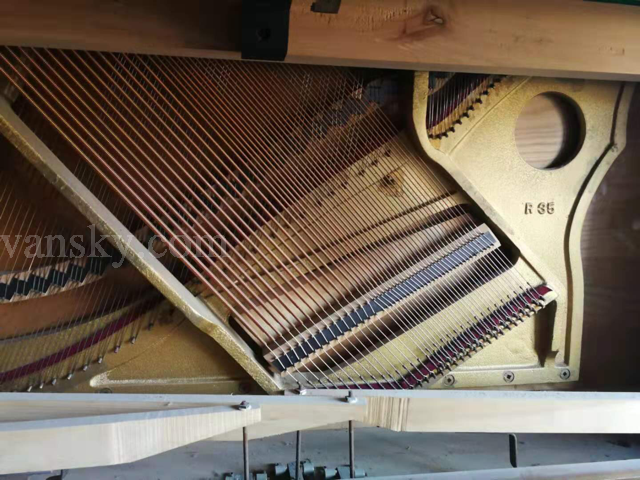191106113253_piano inside.png